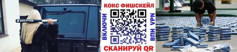 COCAIN Fish Scale цены наркотик OMG зеркало Суздаль