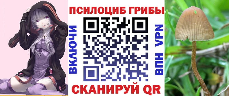Галлюциногенные грибы прущие грибы  МЕГА маркетплейс  Суздаль  купить наркоту 